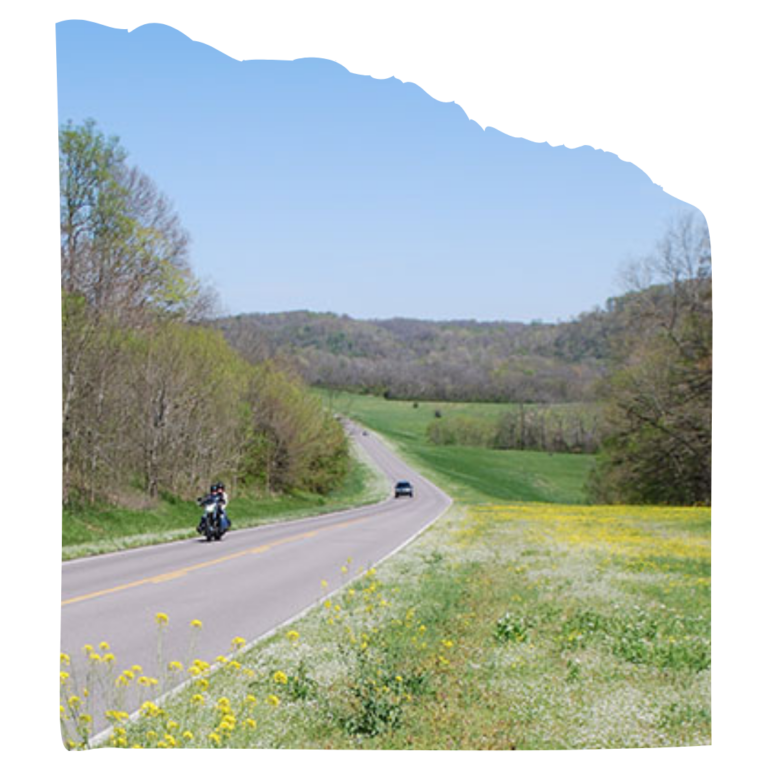 Tennessee - Spring flowers just north of Baker Bluff Overlook.