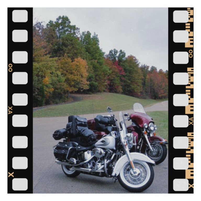 Alabama - Fall foliage at the Freedom Hills parking area.